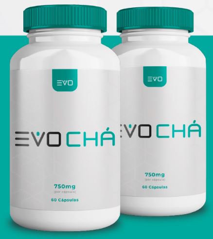 EvoCha 01
