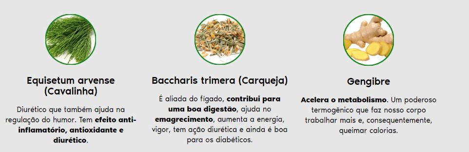 HiperDetoxcomposicao01